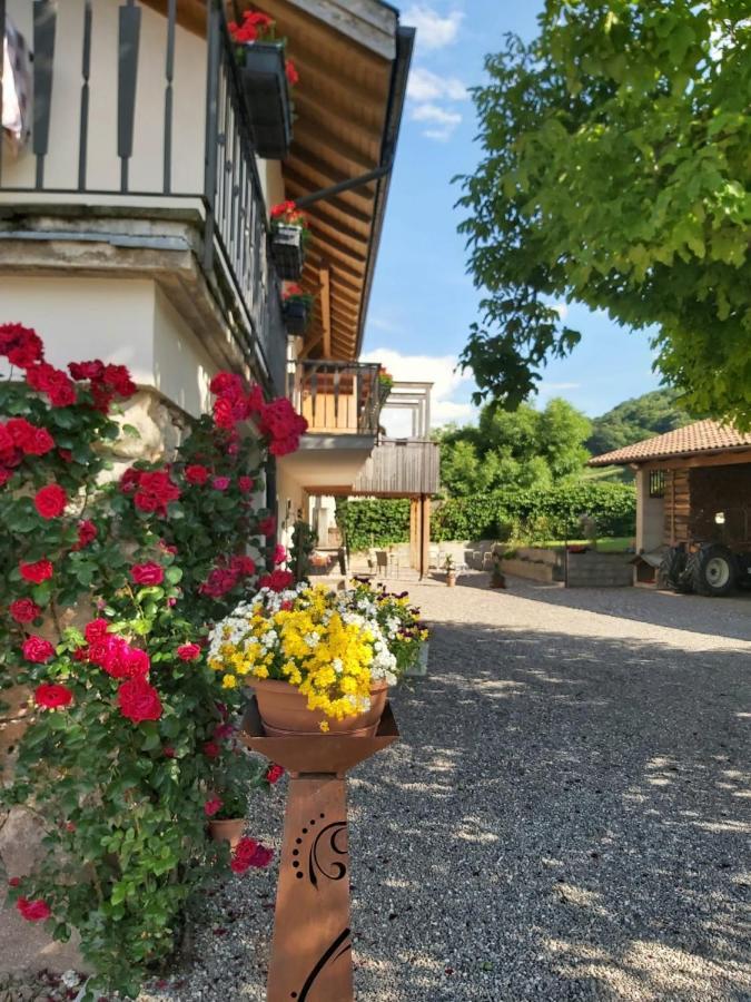 Versigglhof Appiano Sulla Strada Del Vino Ngoại thất bức ảnh