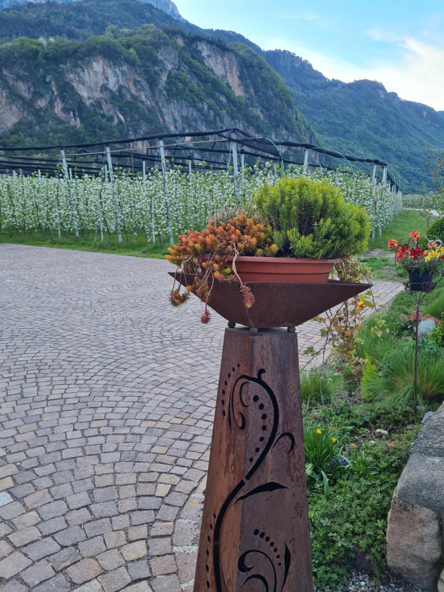 Versigglhof Appiano Sulla Strada Del Vino Ngoại thất bức ảnh